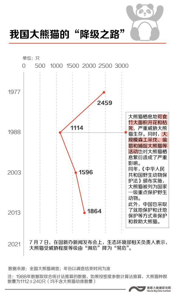 远离濒危,大熊猫和藏羚羊的"降级"之路