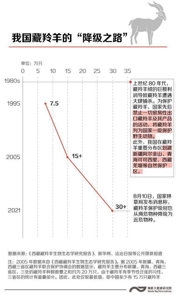 远离濒危,大熊猫和藏羚羊的"降级"之路