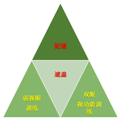 通过适当方式的遮盖,结合视功能训练(包括调节功能训练和双眼视训练)