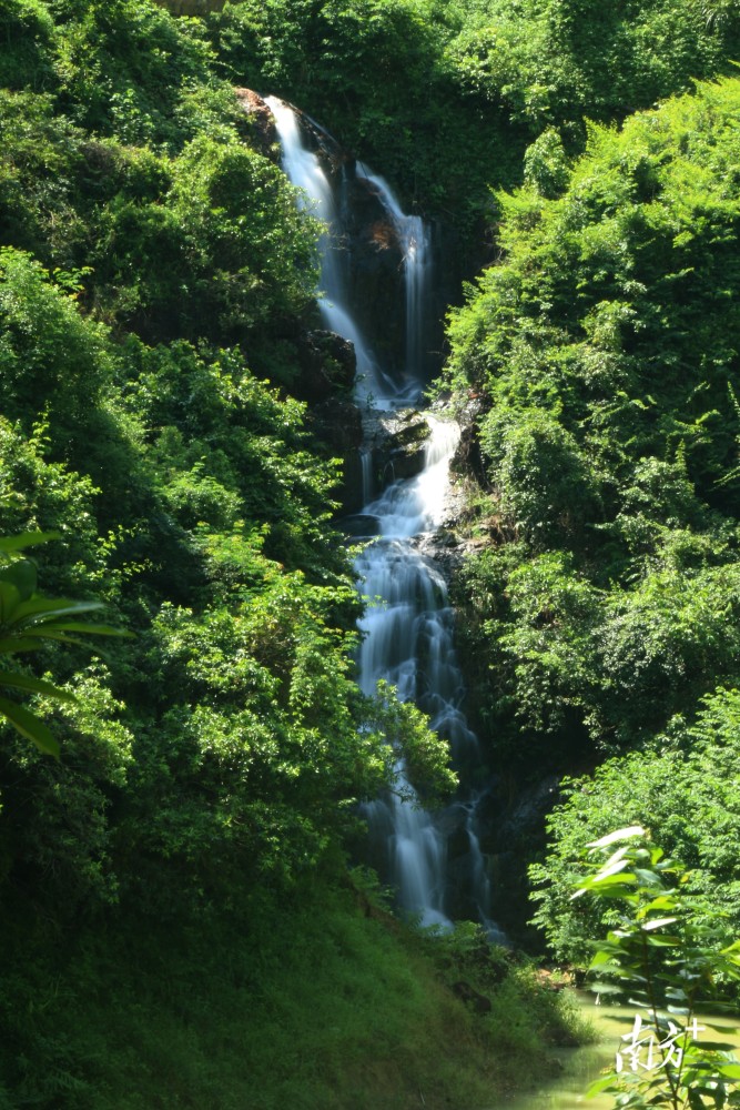 沿环湖绿道前行,渐渐听到潺潺水声,犹如大自然在窃窃私语.