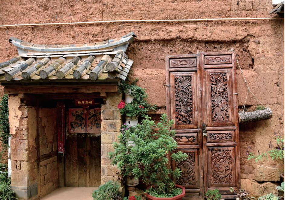 云南农业大学相关专家团队的指导下,雁塔村紧紧围绕"五大振兴"总体