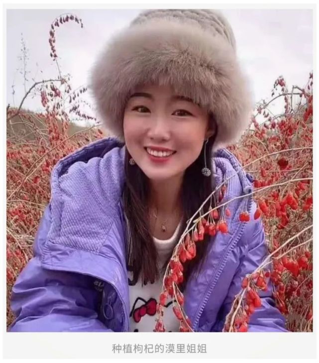 周口姑娘卖枸杞暴红广袤的乡村为青年才俊绽放最美的青春之花