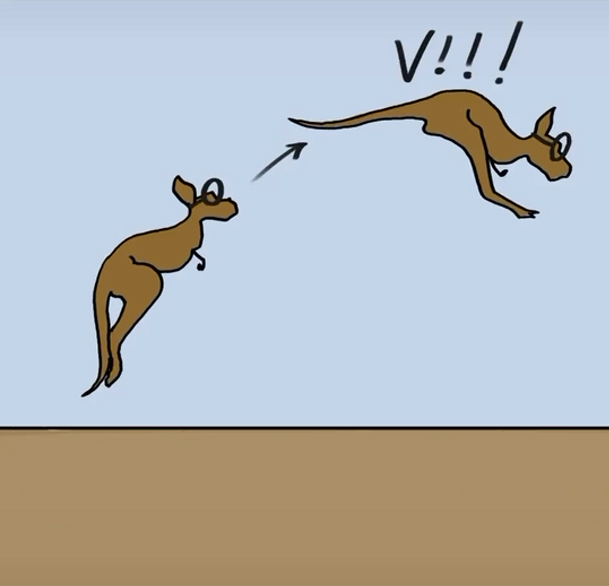 袋鼠在跳跃中保持平衡也全靠尾巴.袋鼠的尾巴非常有力.