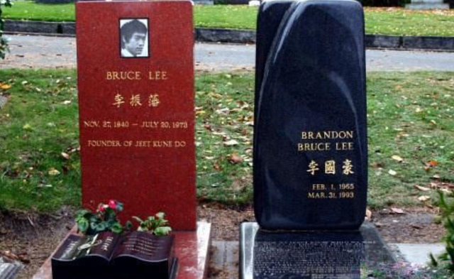 追忆因意外离世的10位名人,年龄最小者,仅24岁,令人惋惜