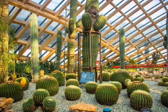 山西太原植物园,建筑充满了时尚科技范,成为了一处网红打卡地