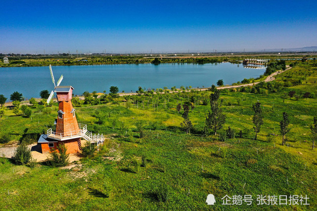 张掖城市森林公园展新姿,满目苍翠绘就绿色新画卷!