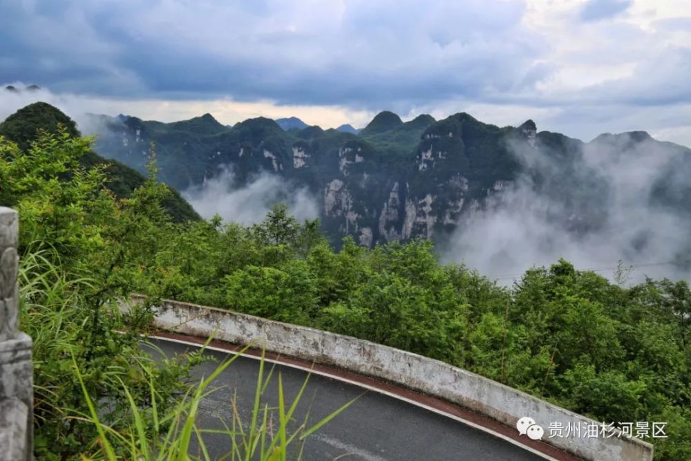 云雾缭绕的油杉河景区,宛若人间仙境_腾讯新闻