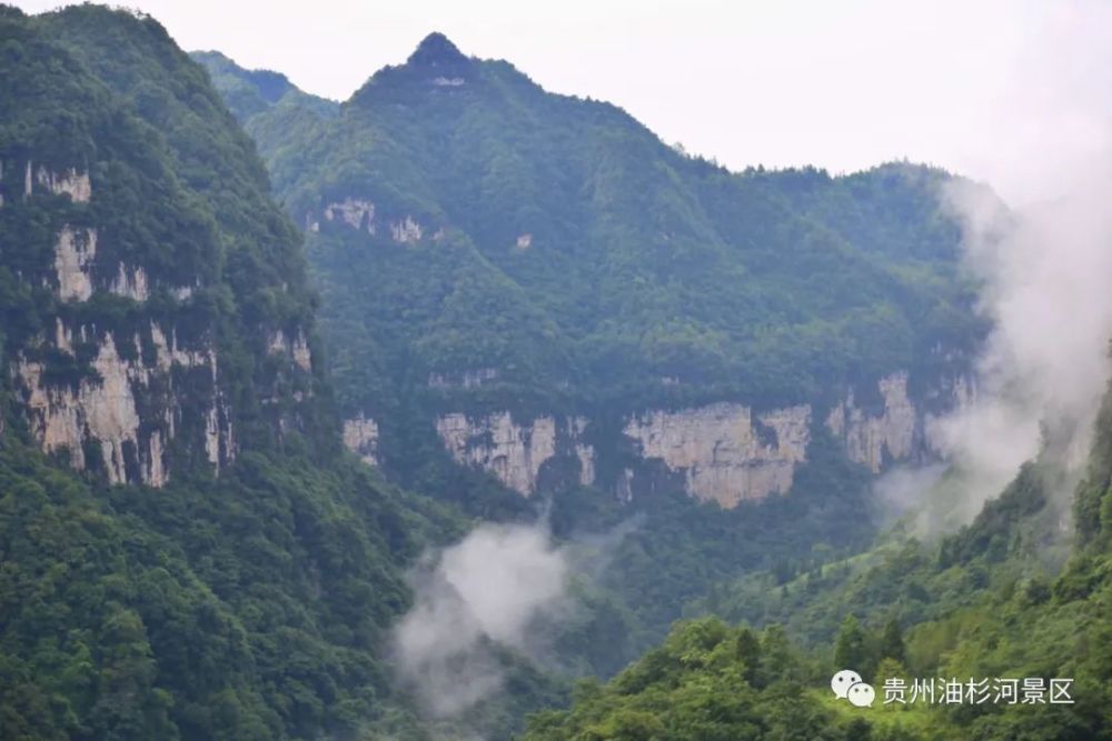 云雾缭绕的油杉河景区,宛若人间仙境_腾讯新闻