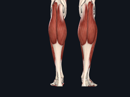 康复医师手记5肌力检查上