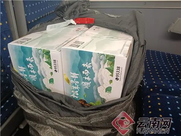 野生菌新闻稿_食用菌新闻_菌类新闻