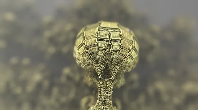 麦迪森健康科普:什么是炭疽病?感染炭疽病后都有哪些症状?