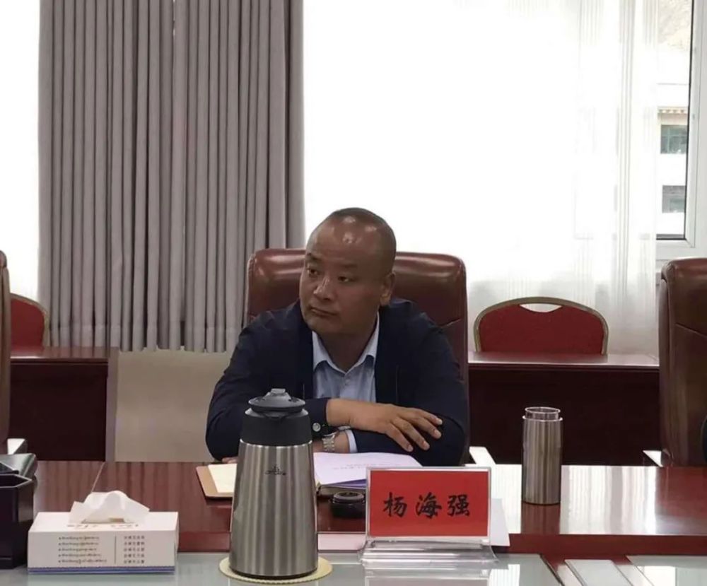 县委副书记,代理县长杨海强,县委常委,副县长旦