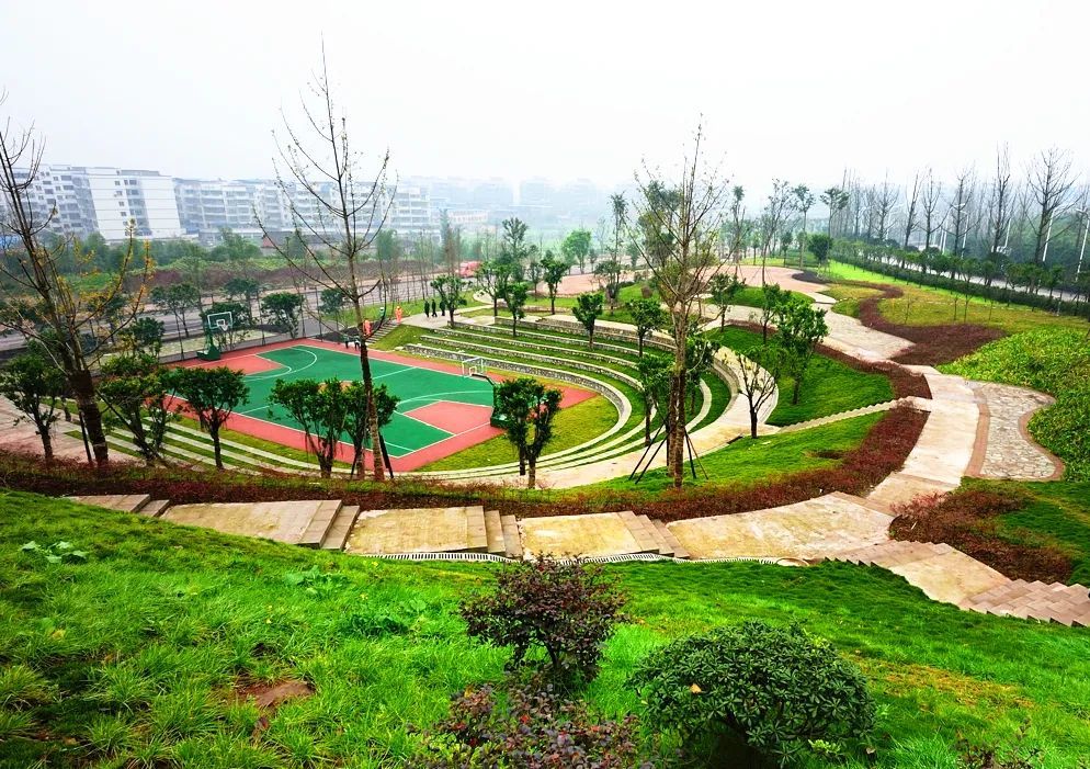 走!去科学城江津园区逛公园_腾讯新闻