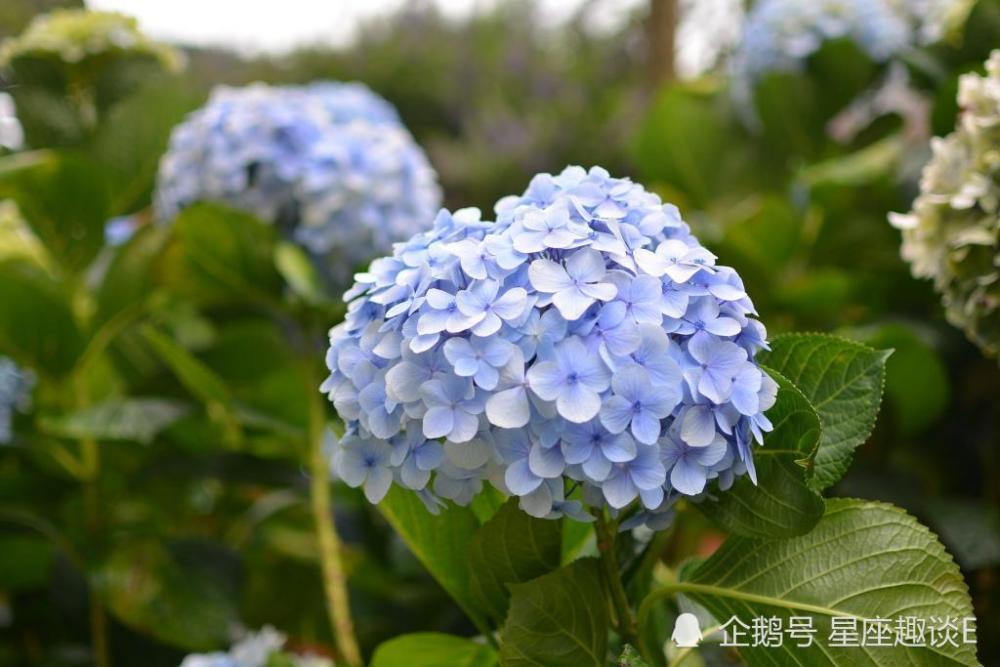 8月14日 日星座运势 白羊未雨绸缪 狮子灵活变通 水瓶深思熟虑 腾讯新闻