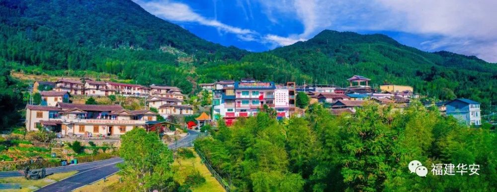 学习贯彻党代会精神丨华丰镇激发茶烘"新活力"