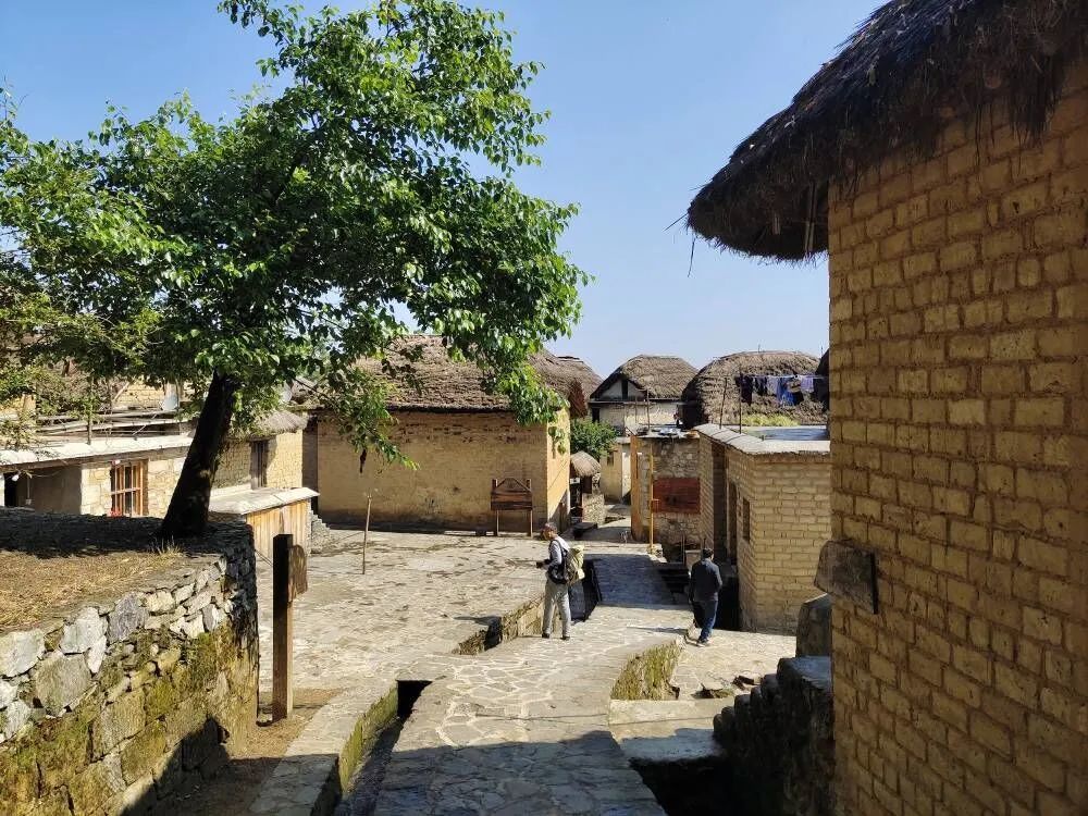 元阳传统村落焕发新生机