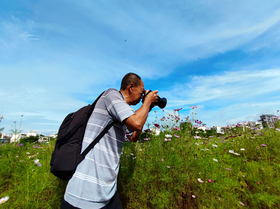 【云南生物多样性数字化百科图谱】节肢动物·厚椽金蛛:致命"毒妇"