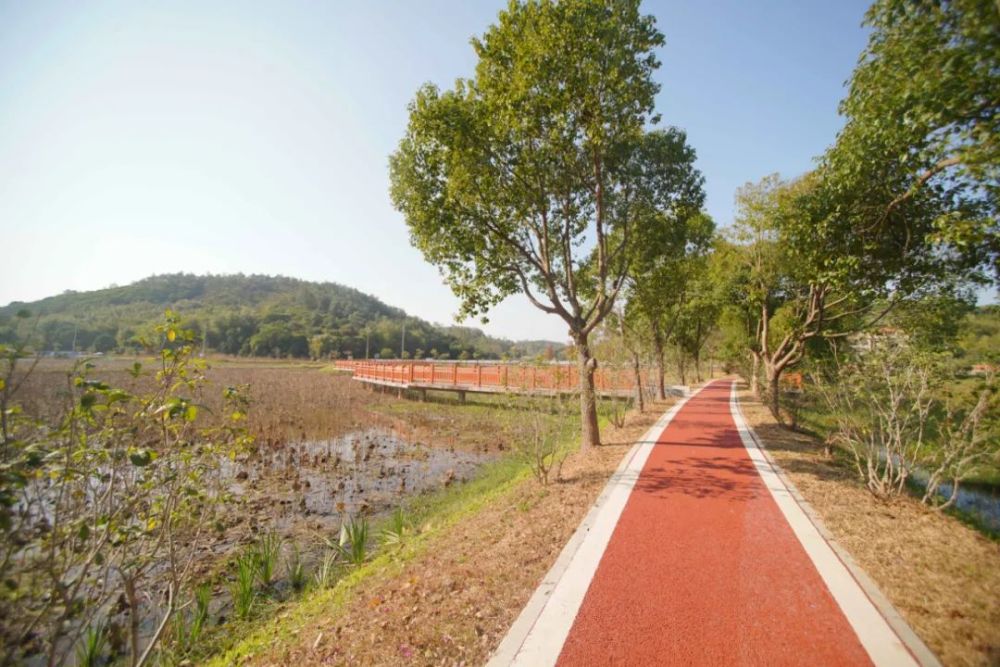 增城这个村华丽变身游客满意度up