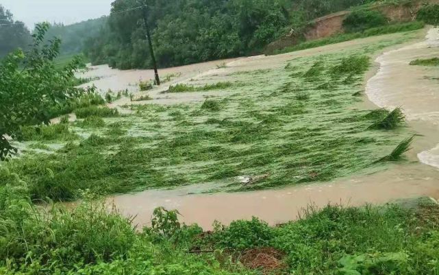 湖北随州洪水没过农田 村民只能用充电宝充电
