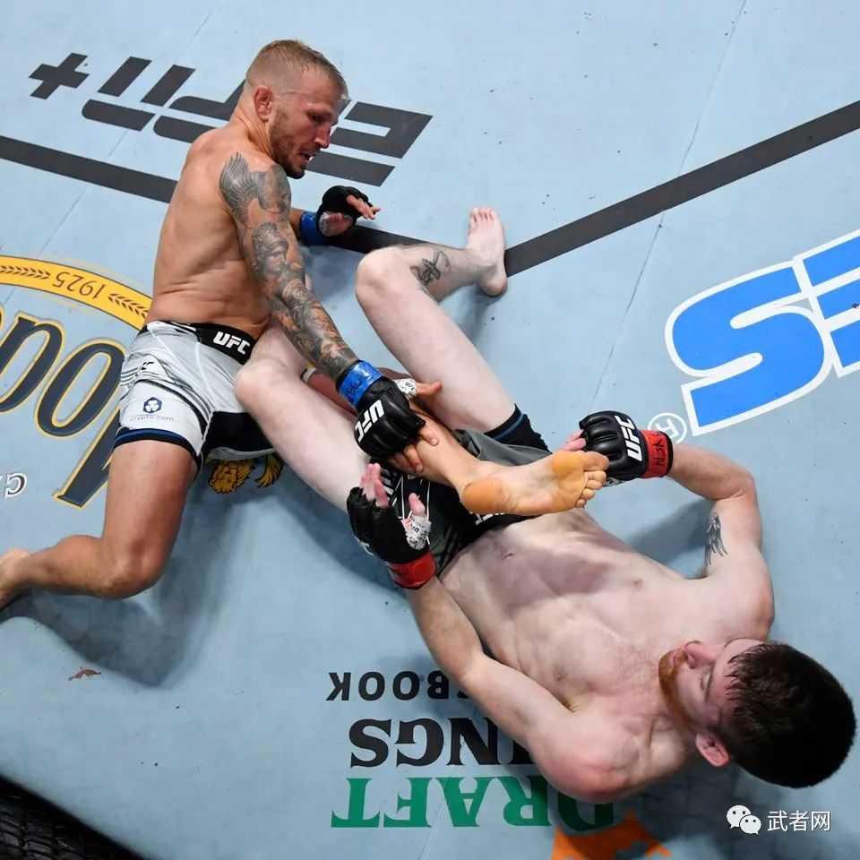 tj迪拉肖透露伤病情况计划明年初挑战冠军头衔