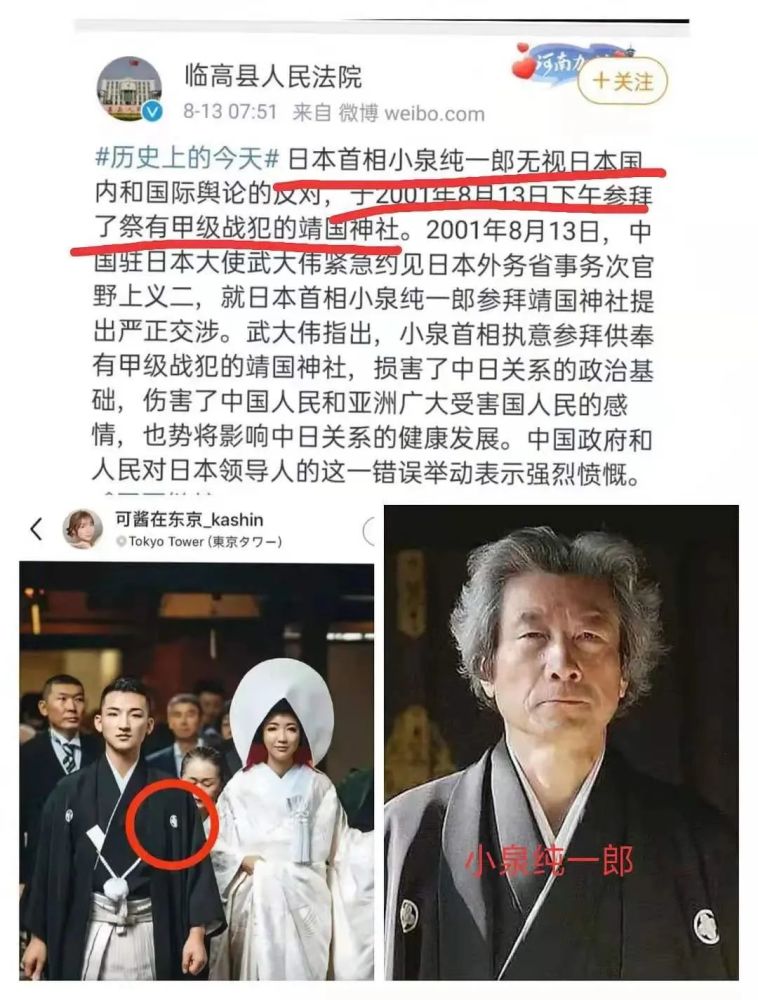 娱乐圈作死第一人，非蠢即坏