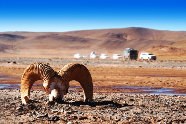 你们知道中国四大无人区,分别在哪里吗?可可西里是其中之一_腾讯网