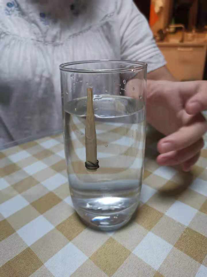 科学达人合成蓝宝石制作密度计潜水艇一起来学做小实验