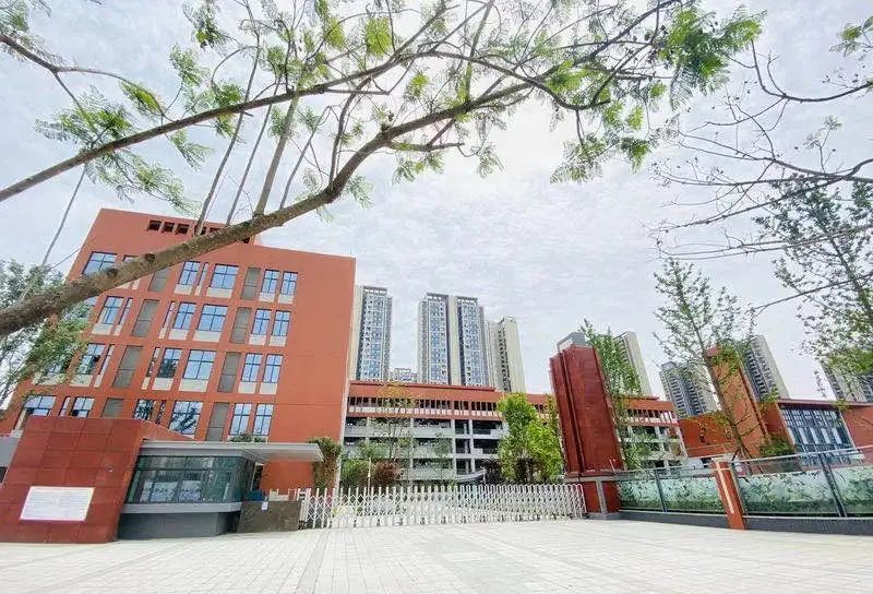 成华区小学