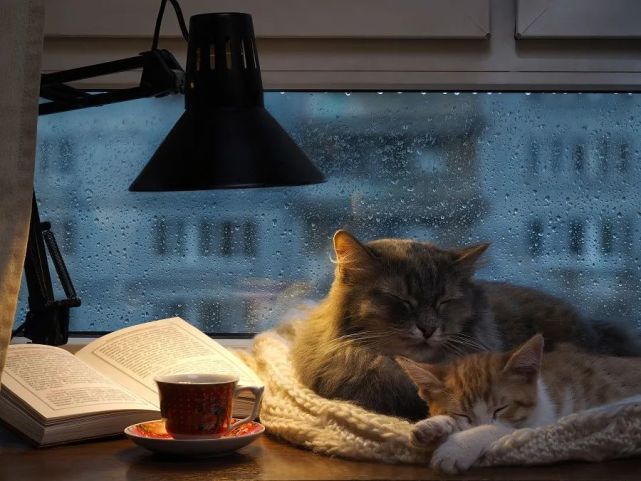 下雨天睡觉的图片唯美图片