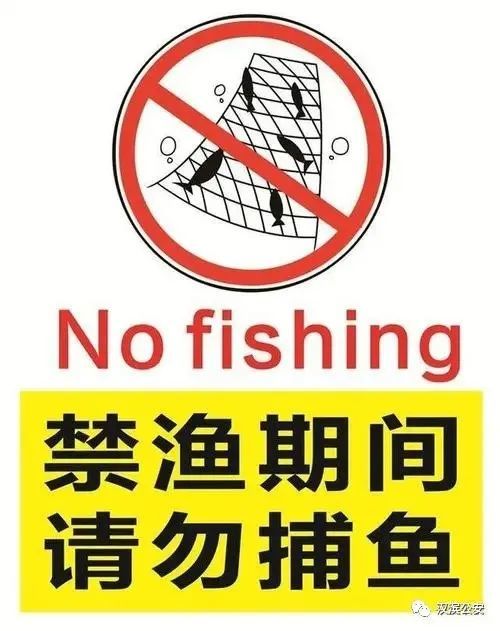 禁止过度捕捞海报图片