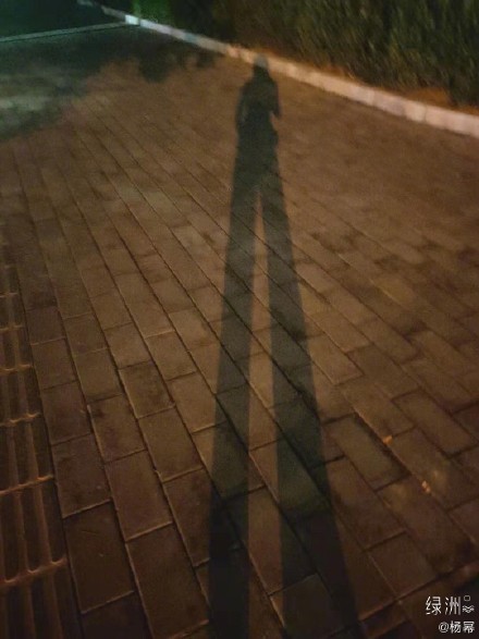 杨幂晒长腿影子照网友这腿分我一半可以吗