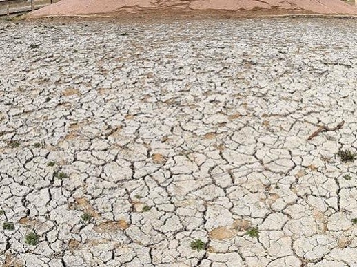 发布8月14日消息,目前,全省总受旱面积995万亩,其中延安,榆林旱情较重