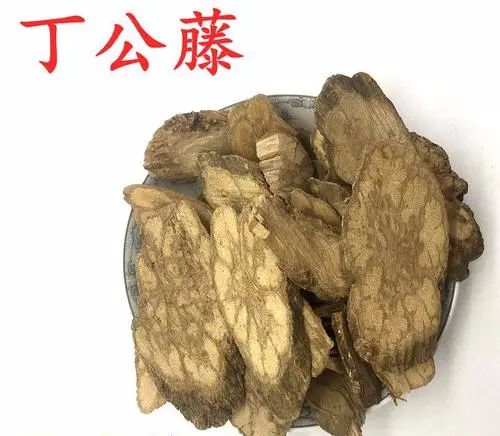 丁公藤祛风除湿消肿止痛