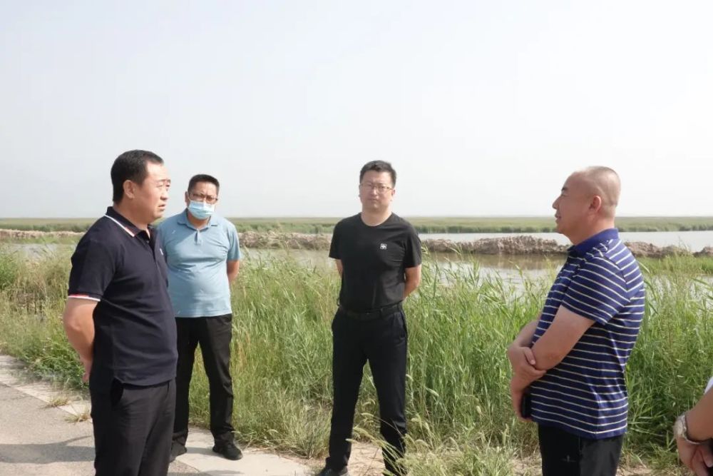 土左旗多措并举积极做好哈素海生态修复与综合治理