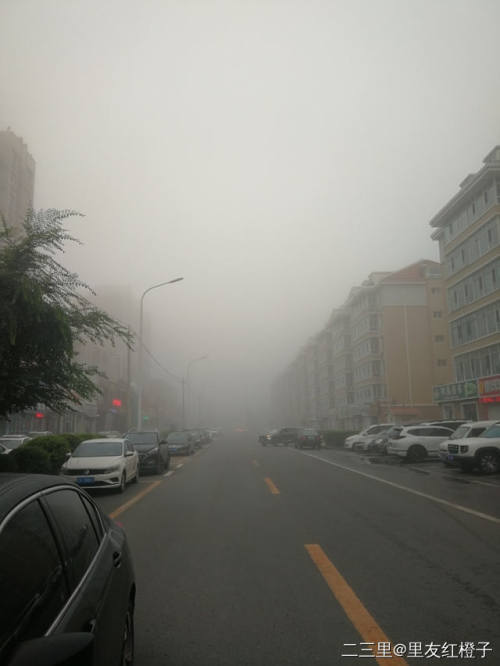 老铁们戴口罩啦清晨大雾迷城一起看看里友晒出的大雾照片