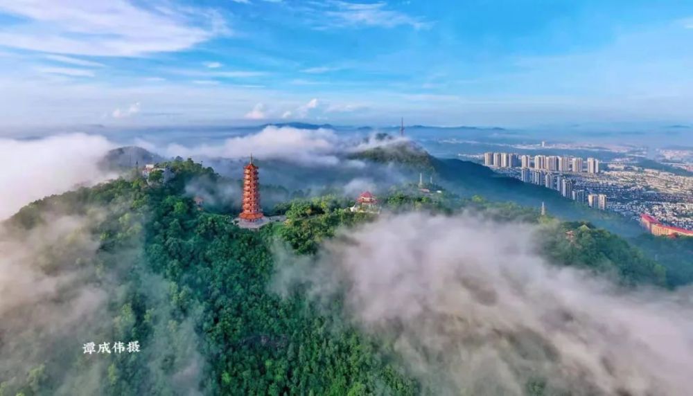 鹤山人七夕天气新鲜出炉竟然是