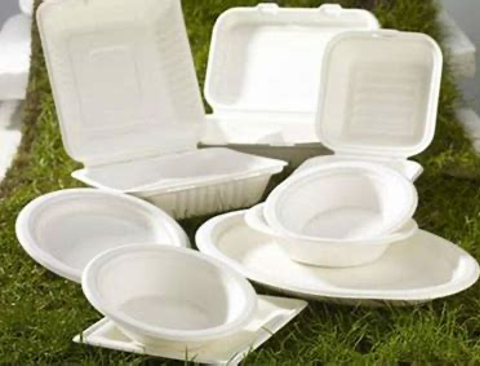 由于一次性发泡塑料餐盒重量轻,价格低廉,坚挺度好,便于大批量携带而