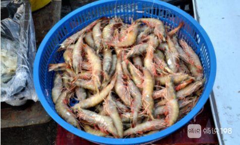 气到无话可说去服装城买潮虾拿回家又有一半是死的