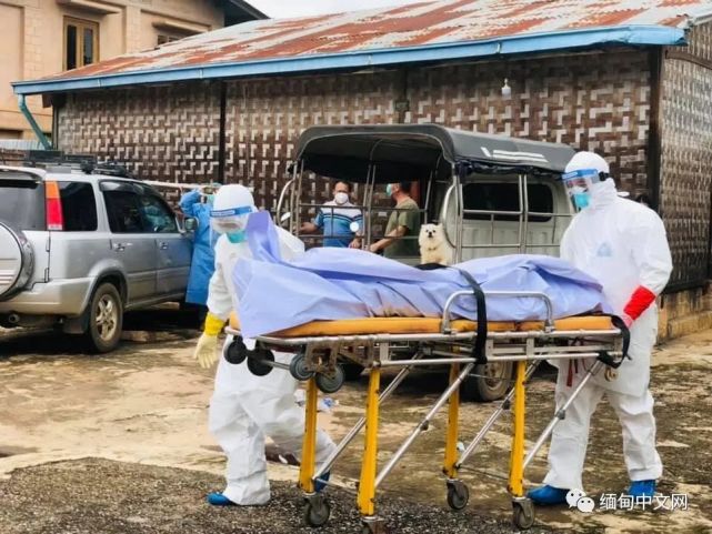 缅甸大其力花季少女确诊后死亡;皎梅日均死亡7人;卑谬10人死亡