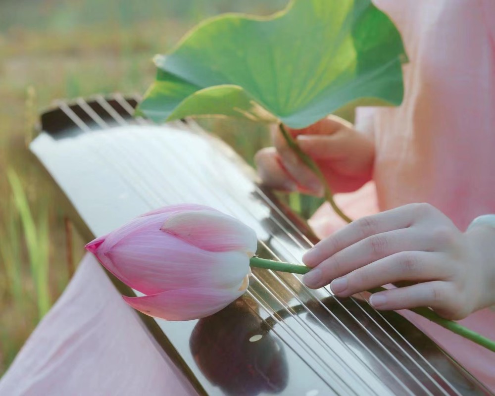 像蓮花一樣的女子 古琴演奏家邵芸菲