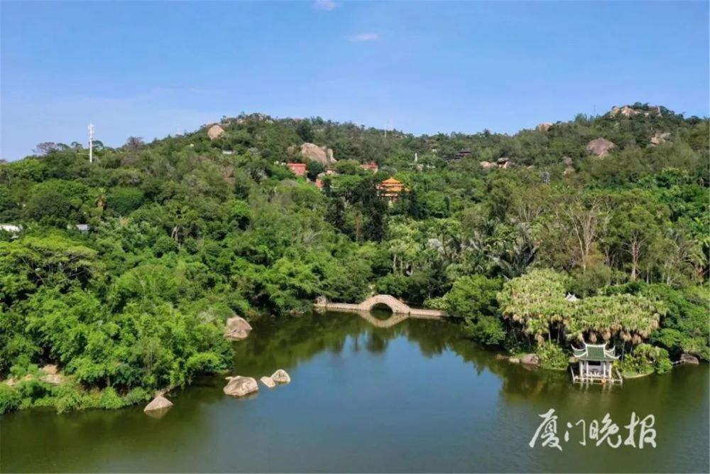 航拍直击:厦门植物园这一名景重现!周末出门赏景,逛街,别忘了这件事!