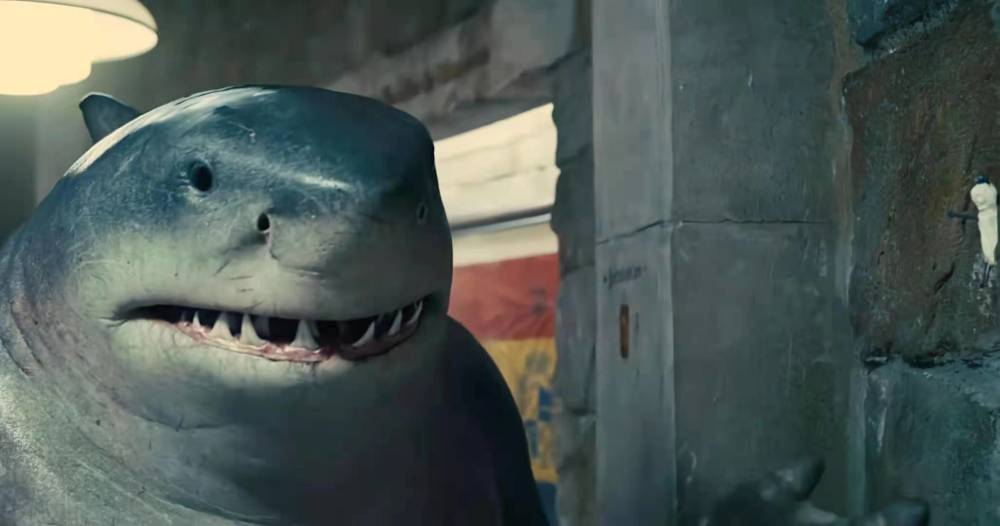 黄鼬不知道大家是否喜欢这部电影里的萌憨憨鲨鱼王,欢迎在评论区留言