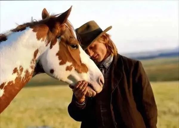 宅家必备清单——10大经典马电影推荐
