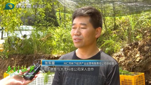 兴仁市林下经济产业运营有限责任公司总经理 张军星:我们下一步与大茂