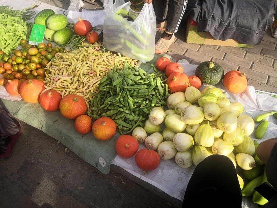 在內蒙早市買菜眼花繚亂不會挑農村小夥這樣的才是農家菜