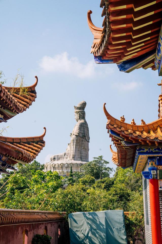 观音山佛耀丛林,景色太美,一起来打卡看看