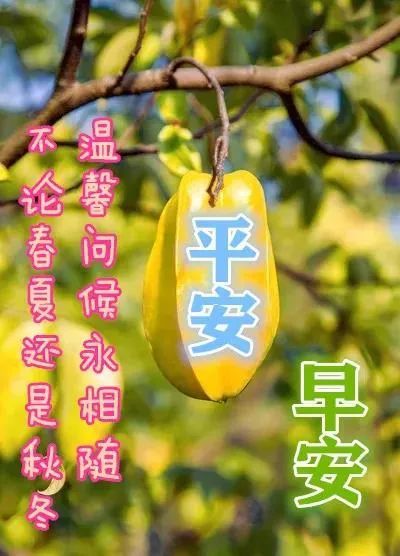 3月14日最漂亮早上好動態表情圖片大全早上好動圖美圖大全