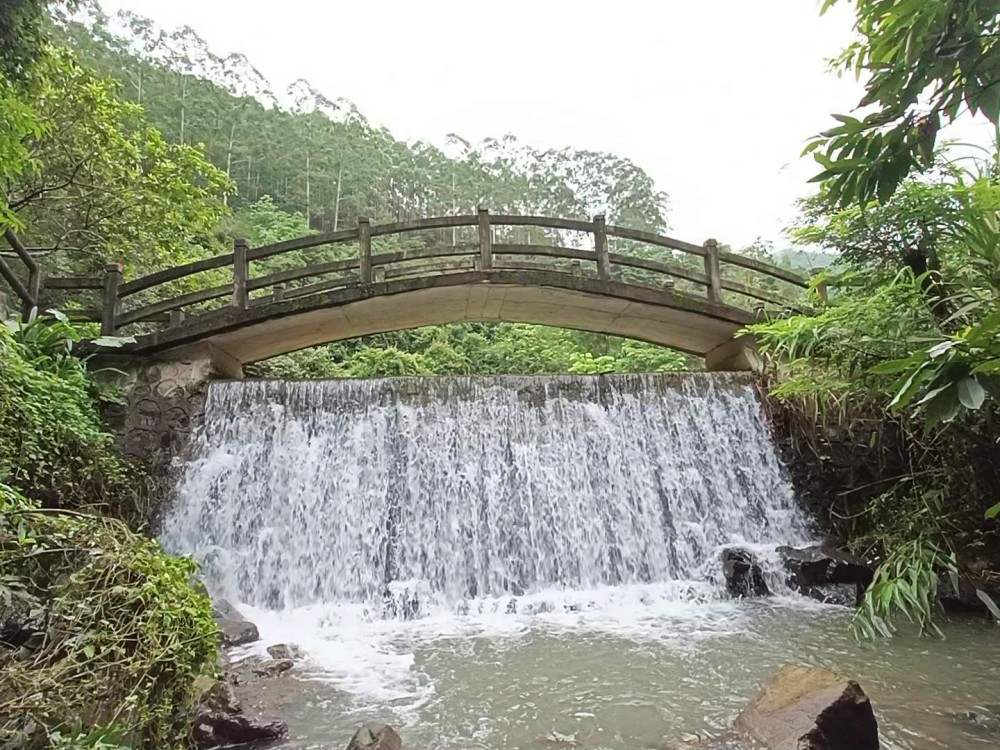 东莞樟木头宝山森林公园