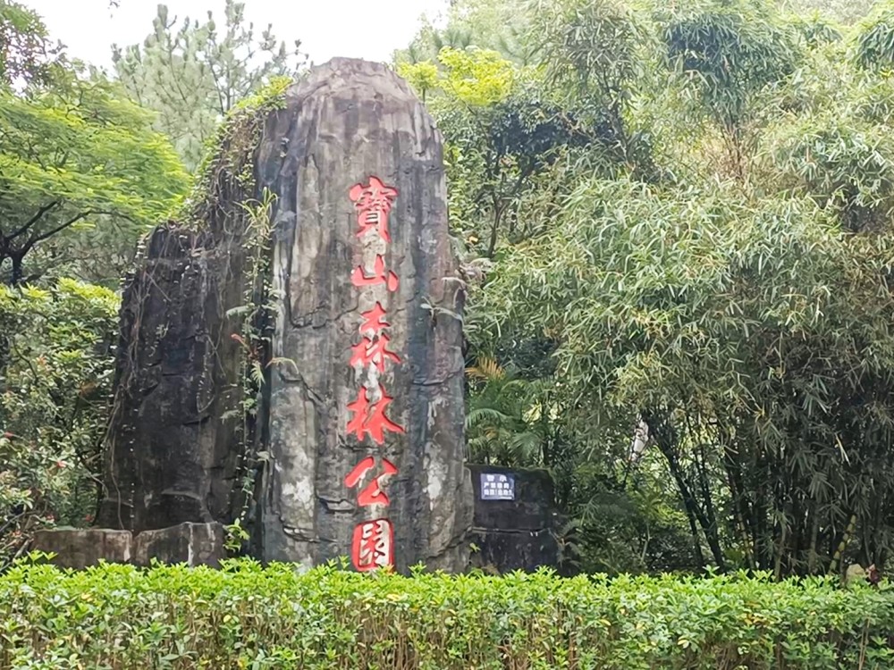 东莞樟木头宝山森林公园