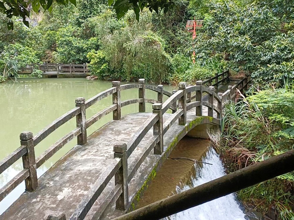 東莞樟木頭寶山森林公園